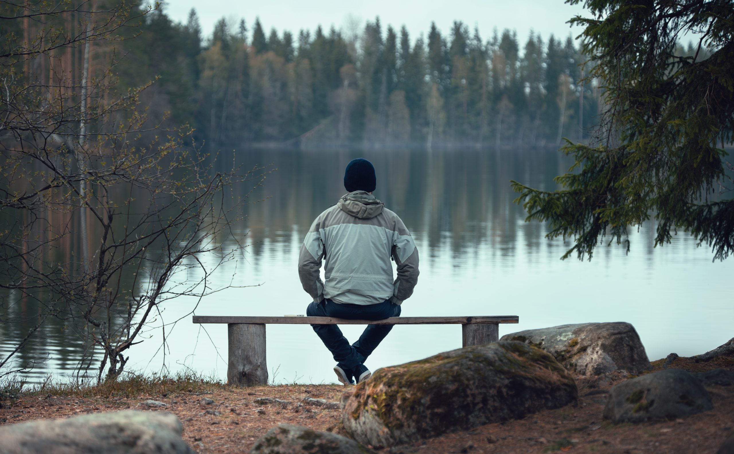 A man sits on a bench near a forest lake. View from the back